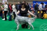 ВЫСТАВКИ - Мемориал Сабанеева 2010